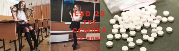 соль ск Ельня
