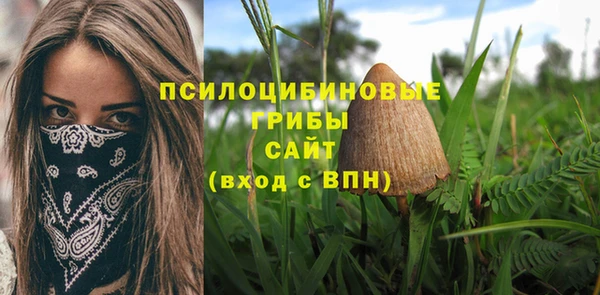 дурь Заволжье